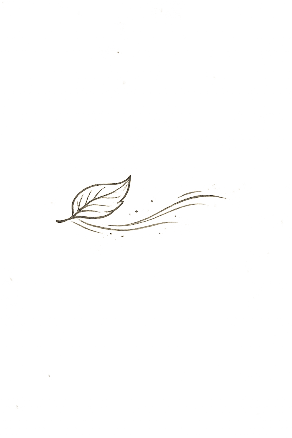 Cosa intendiamo quando diciamo “vino naturale” ?