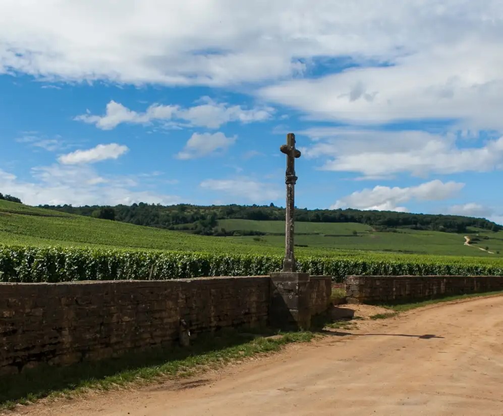 Romanée-conti, dove ogni sorso vale un&nbsp;tesoro