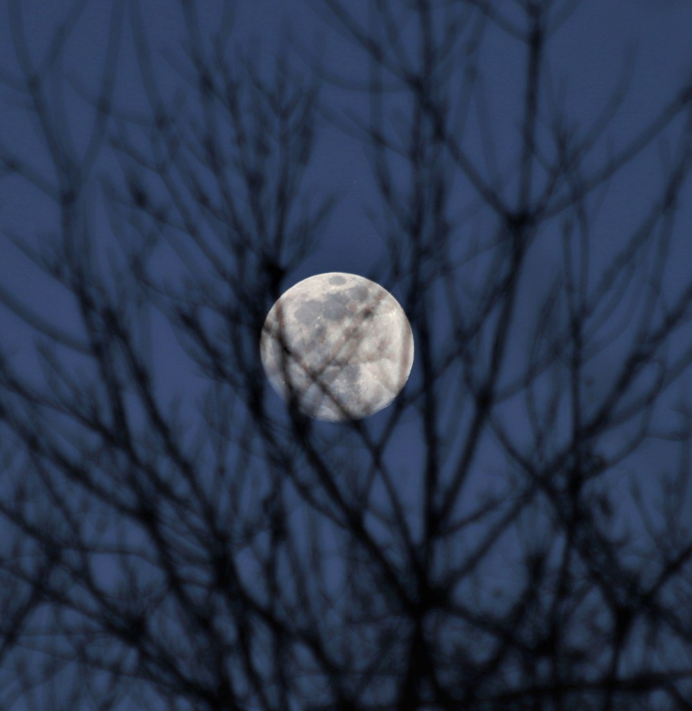 Il calendario lunare nel&nbsp;vino