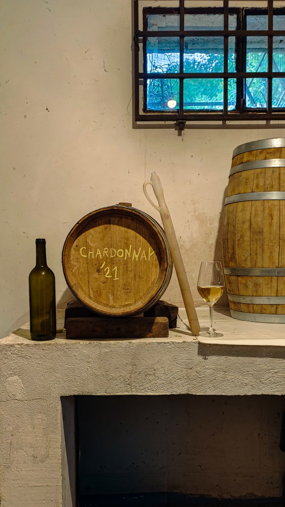 Il vino del contadino: cos’era ieri, cos’è&nbsp;oggi